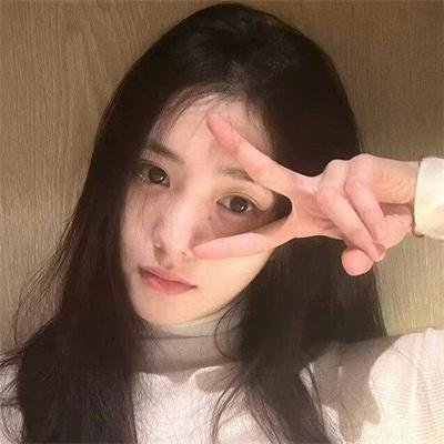 来自收容所的爱
