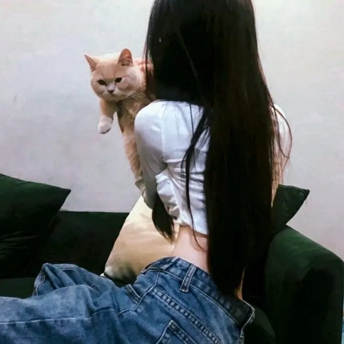 月度最佳